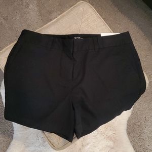 NWT LOFT women's original chino short